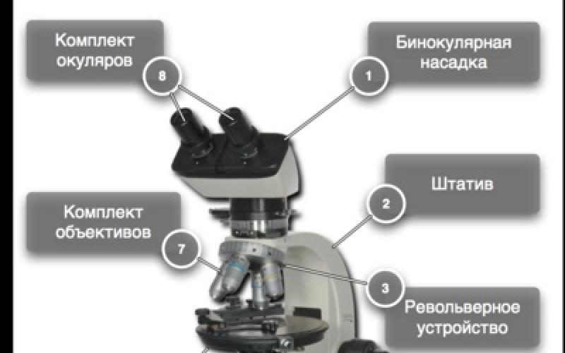 Вооружённым глазом: Как снимать под микроскопом Использование цифровых фотоаппаратов для съемки с микроскопа